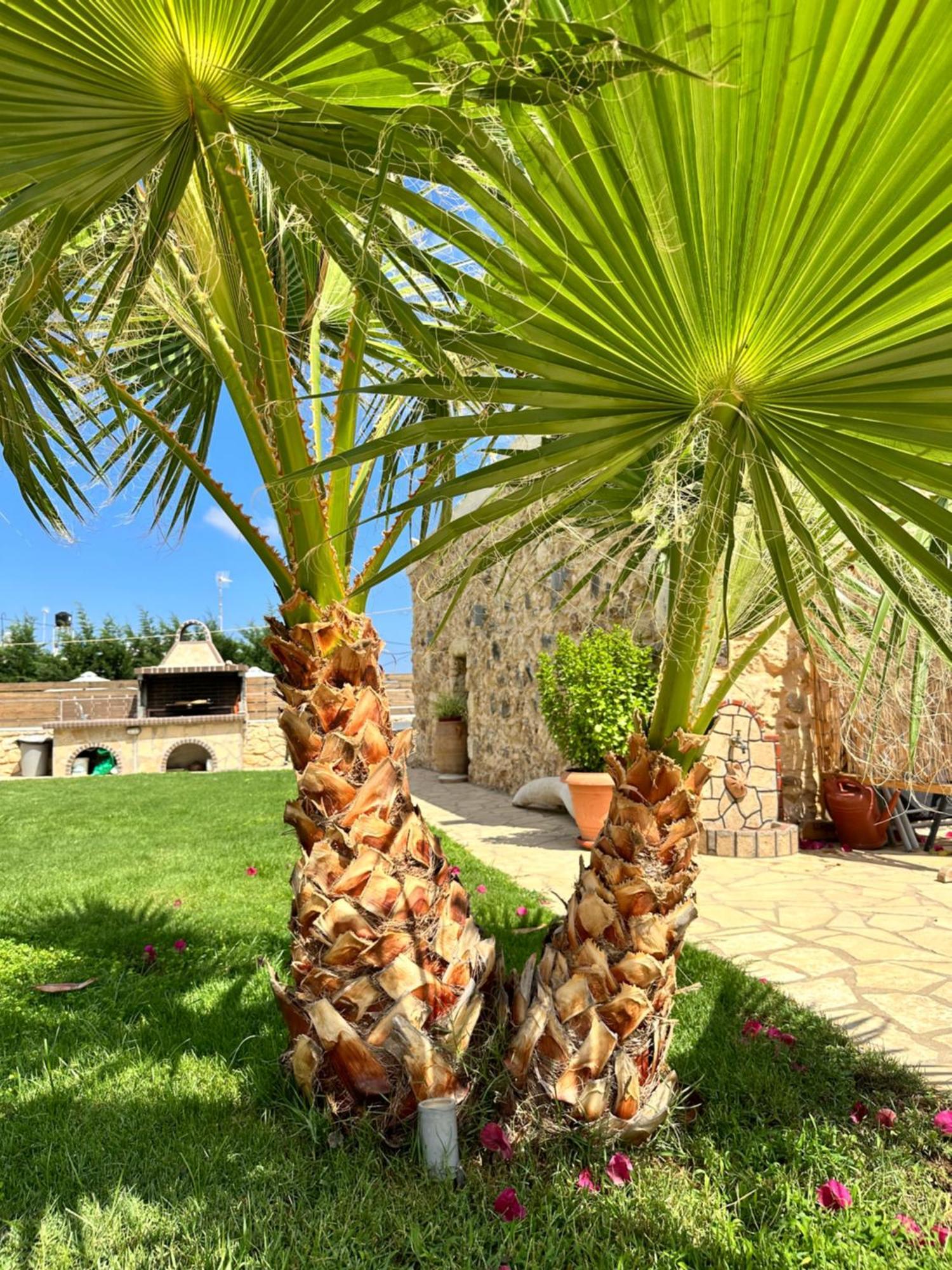 Villa Bio Garden Stonehouse à Gonia Extérieur photo